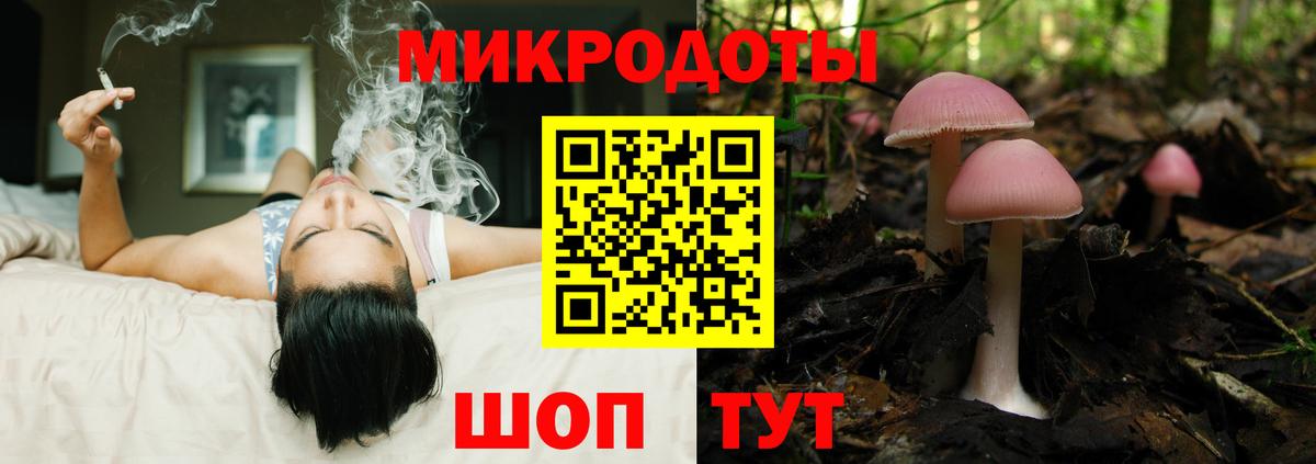 Галлюциногенные грибы Psilocybe Рославль